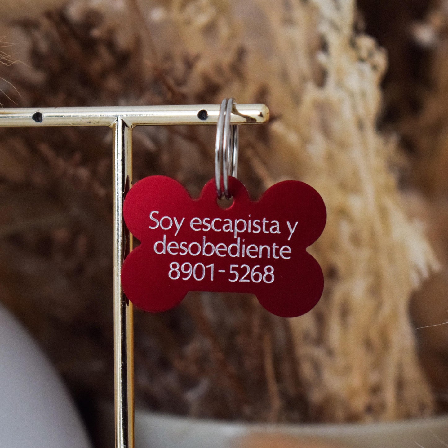 🦴 Placa metálica huesito – reversible y personalizada